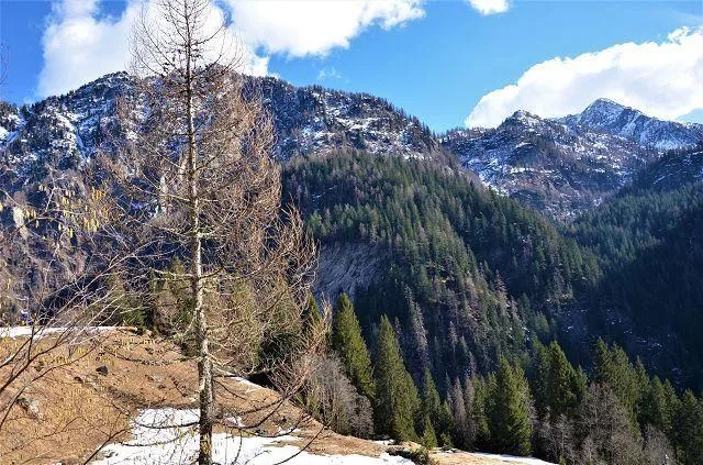 Due rustici da ristrutturare con terreno con bella vista panoramica... – Foto 13 von 27