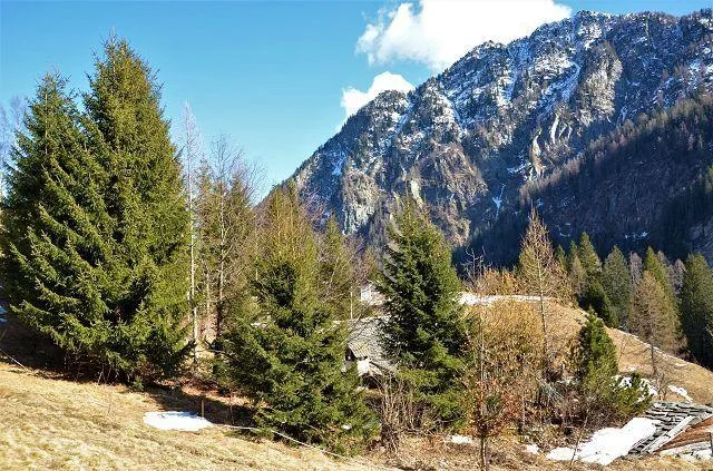Due rustici da ristrutturare con terreno con bella vista panoramica... – Foto 10 von 27
