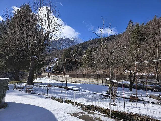 5 1/2-Zimmer-Haus an Alleinlage mit schönem Garten / Bella casa di ... – Foto 30 von 30
