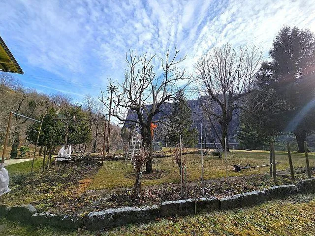 5 1/2-Zimmer-Haus an Alleinlage mit schönem Garten / Bella casa di ... – Foto 25 von 30
