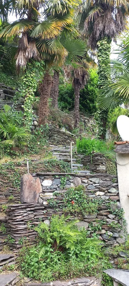 Altes Tessinerhaus in Brissago – photo 8 of 8
