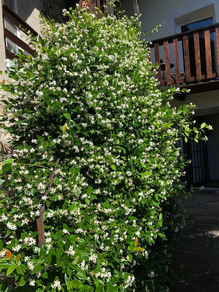 6.5 Zimmer Einfamilienhaus in Arcegno – Foto 11 von 26