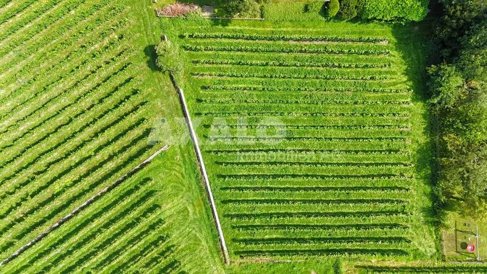 Einzigartige Baulandparzelle in Maienfeld