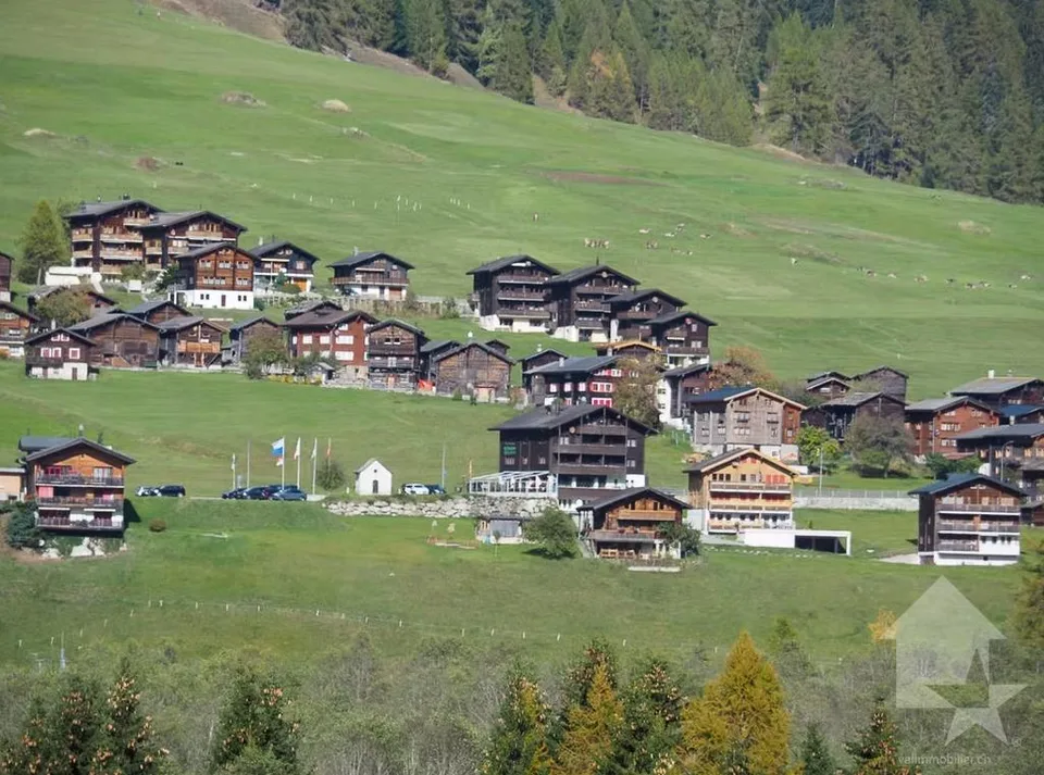 Hôtel dans un endroit sensationnel à Ritzingen, Valais