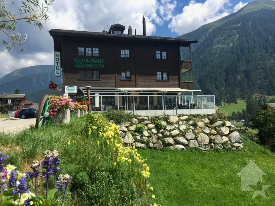 Hôtel dans un endroit sensationnel à Ritzingen, Valais
