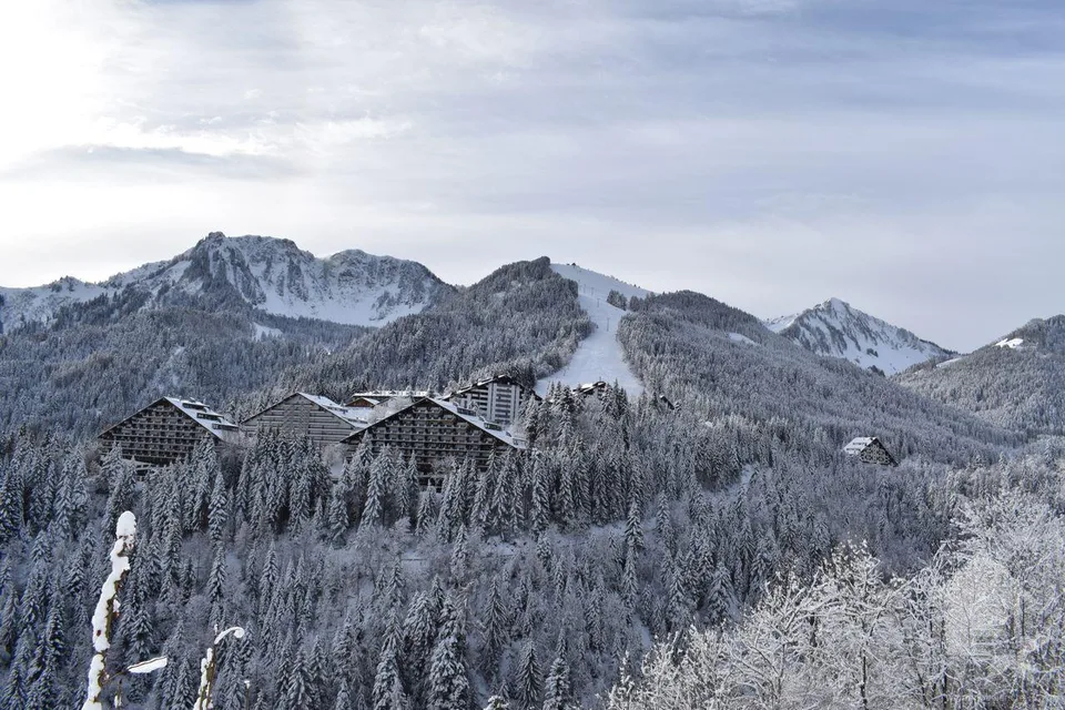 Torgon, sympathique duplex de 2 pièces dans l'imm. le Cleuset – Foto 11 von 11