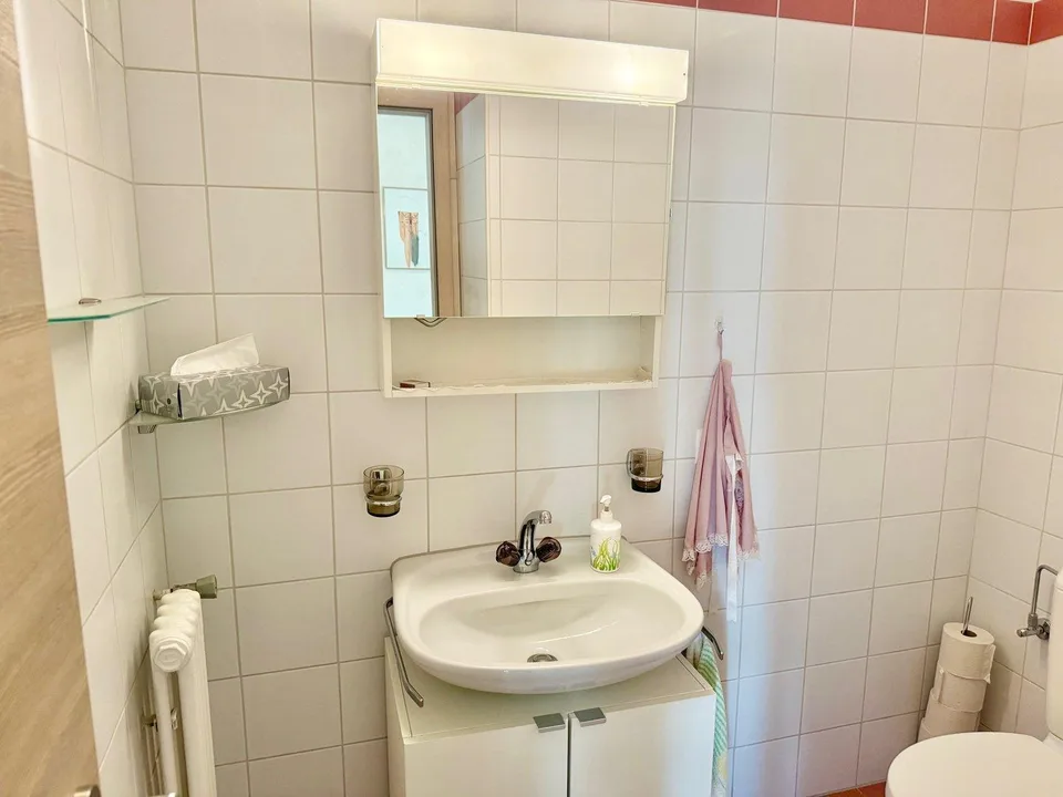 Moderne 2.5 Wohnung im Zentrum von Minusio / appartamento in centro – photo 12 sur 22