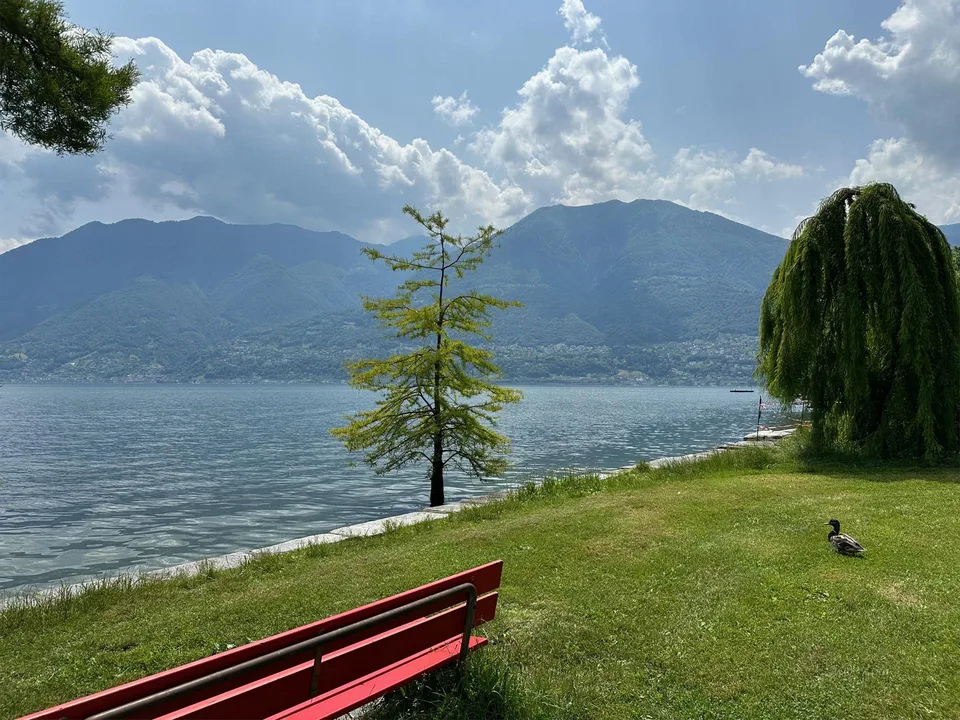 2.5 Mansarde mit atemberaubender Aussicht – photo 24 sur 24