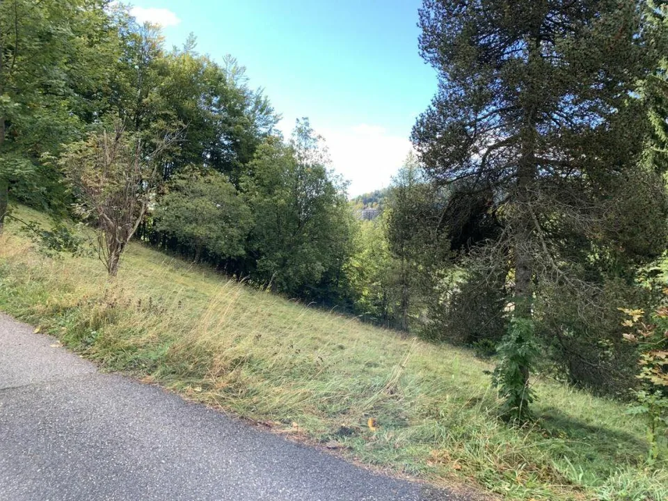 Terrain à St-Cergue
