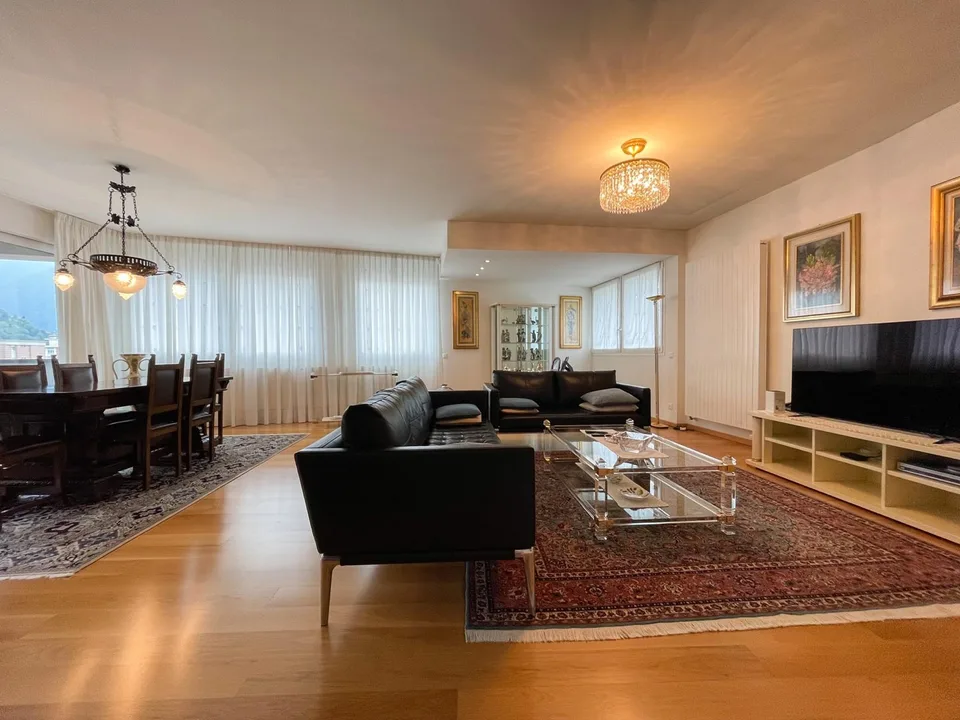 Elegante attico 4.5 locali - Cassarate