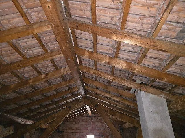 Casa unifamiliare con giardino e 2 rustici da ristrutturare molto s... – Foto 12 von 30