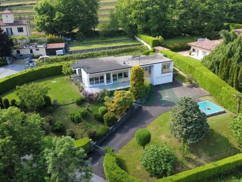 Incantevole villa dalle linee armoniose e moderne, immersa nei vigneti