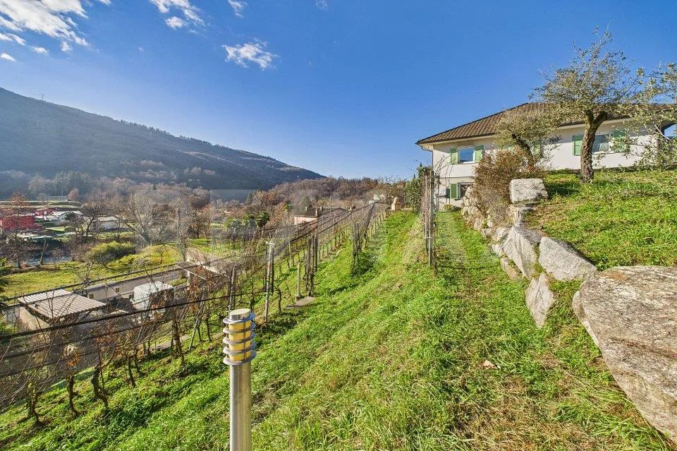 1'708 m² Bauland mit Rebberg – Tresa (Ponte Cremenaga)
