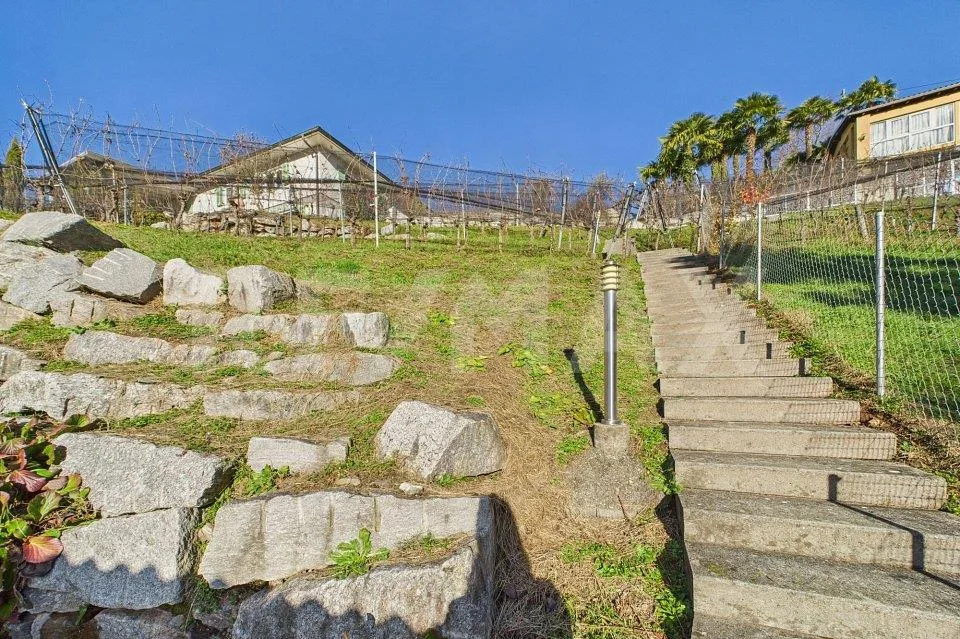 1'708 m² Bauland mit Rebberg – Tresa (Ponte Cremenaga)