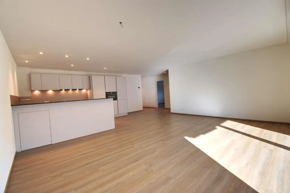 Grosszügige Erstwohnung mit Panoramablick