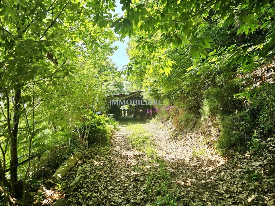 Ferienhaus im Malcantone, mit Weitblick, sonnig, zu sanieren – Foto 19 von 21