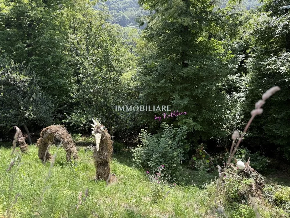 Ferienhaus im Malcantone, mit Weitblick, sonnig, zu sanieren – Foto 18 von 21