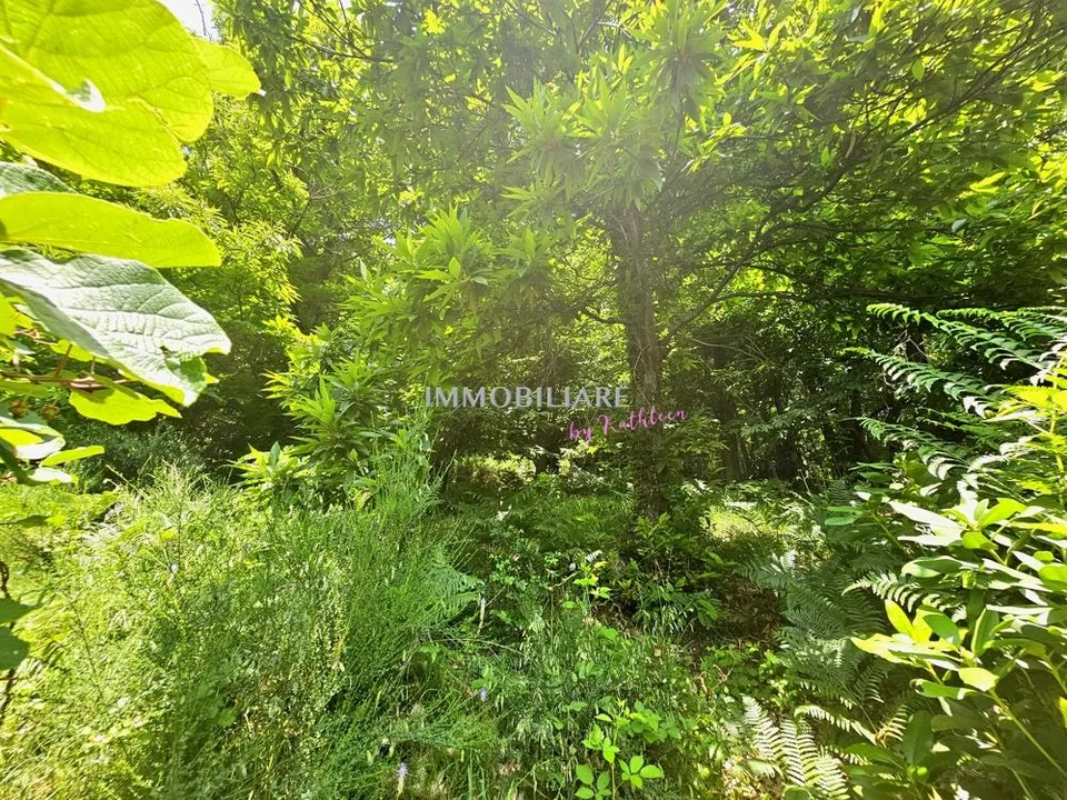 Ferienhaus im Malcantone, mit Weitblick, sonnig, zu sanieren – Foto 17 von 21