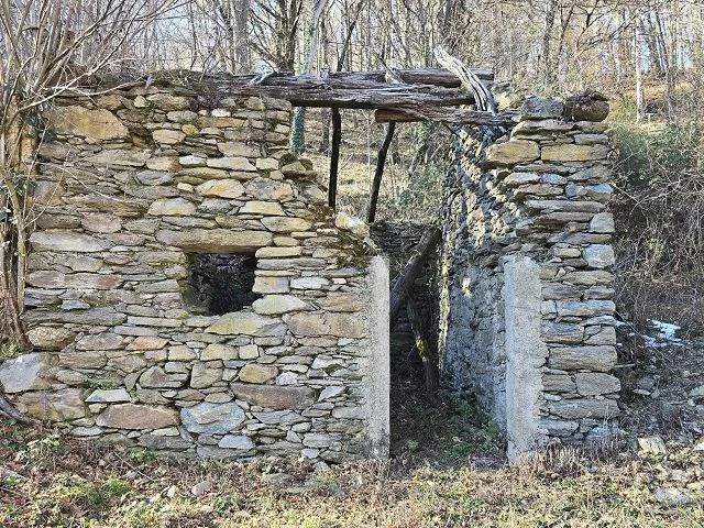 4-Zimmer-Rustico zum fertig Ausbauen mit 5 ha Land / Rustico ei 4 l... – Foto 25 von 30