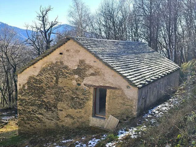 4-Zimmer-Rustico zum fertig Ausbauen mit 5 ha Land / Rustico ei 4 l... – Foto 28 von 30