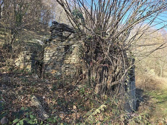 4-Zimmer-Rustico zum fertig Ausbauen mit 5 ha Land / Rustico ei 4 l... – Foto 24 von 30