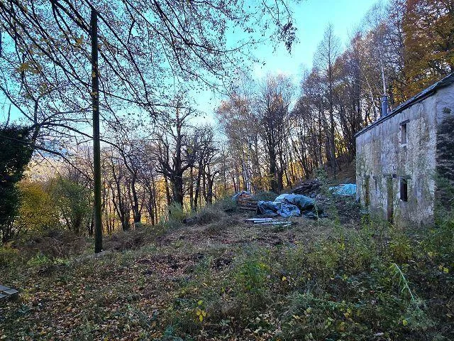 4-Zimmer-Rustico zum fertig Ausbauen mit 5 ha Land / Rustico ei 4 l... – Foto 17 von 30