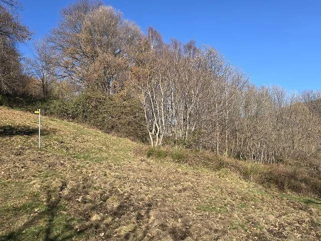 4-Zimmer-Rustico zum fertig Ausbauen mit 5 ha Land / Rustico ei 4 l... – Foto 16 von 30