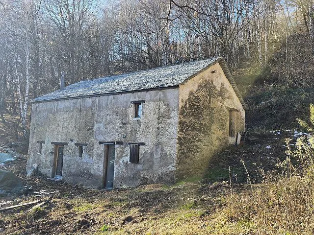 4-Zimmer-Rustico zum fertig Ausbauen mit 5 ha Land / Rustico ei 4 l... – Foto 26 von 30