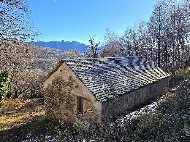 4-Zimmer-Rustico zum fertig Ausbauen mit 5 ha Land / Rustico ei 4 l... – Foto 29 von 30