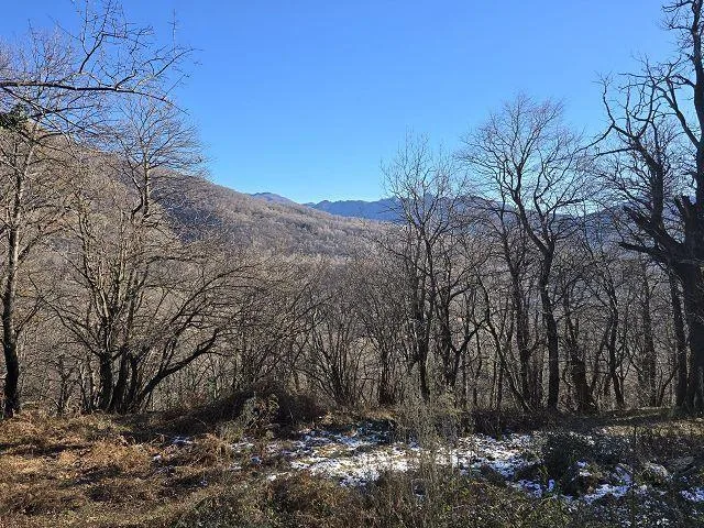 4-Zimmer-Rustico zum fertig Ausbauen mit 5 ha Land / Rustico ei 4 l... – Foto 22 von 30