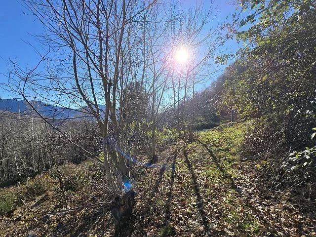 4-Zimmer-Rustico zum fertig Ausbauen mit 5 ha Land / Rustico ei 4 l... – Foto 21 von 30