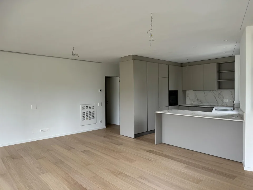 Nuovo appartamento 3.5 locali con vista lago in collina d`Oro