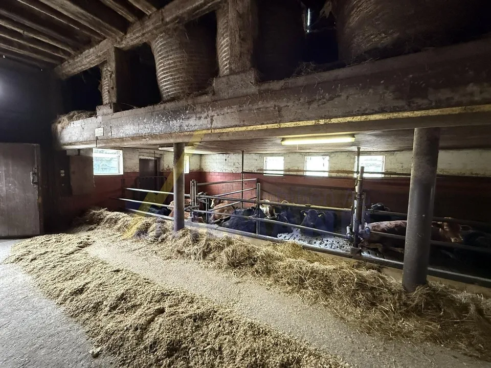 Grosszügiges Bauland mit Bauernhaus – foto 15 di 15