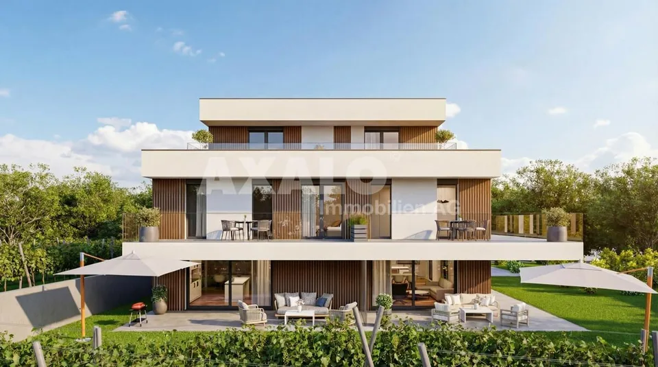 Projektstudie Doppelhaus Maienfeld