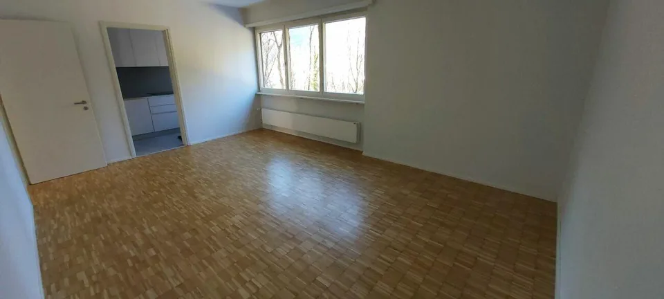 APPARTAMENTO RISTRUTTURATO DI 3.5 LOCALI - OTTIMA POSIZIONE – photo 6 of 13