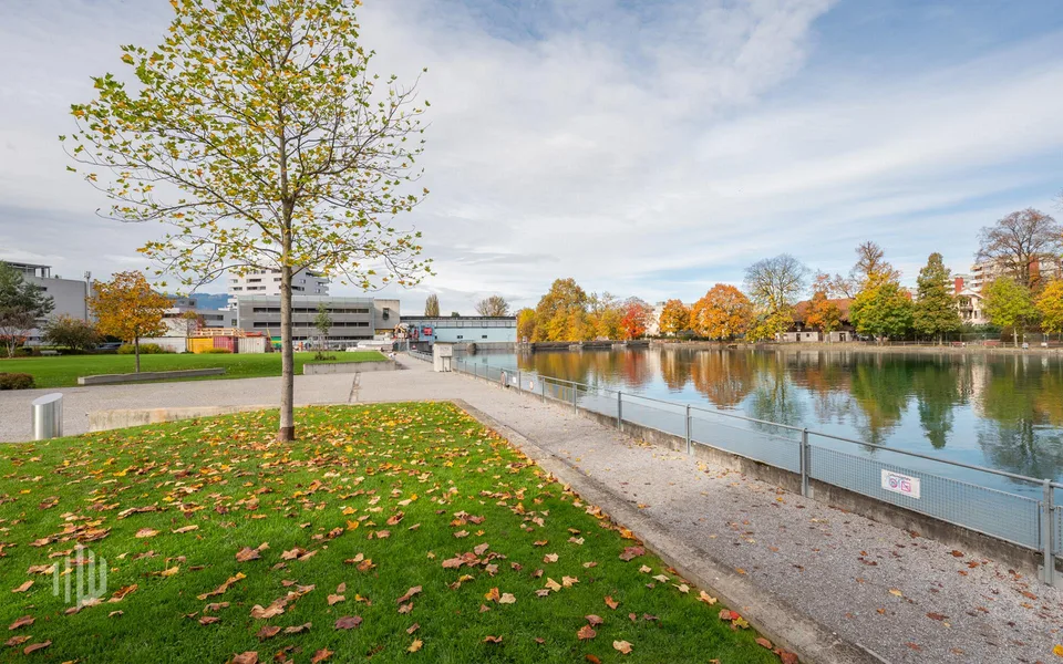 ImmoWyss - Attraktive Baulandreserve mit Zukunftsperspektive in Thun – Foto 16 von 17