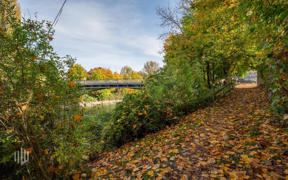 ImmoWyss - Attraktive Baulandreserve mit Zukunftsperspektive in Thun – Foto 7 von 17
