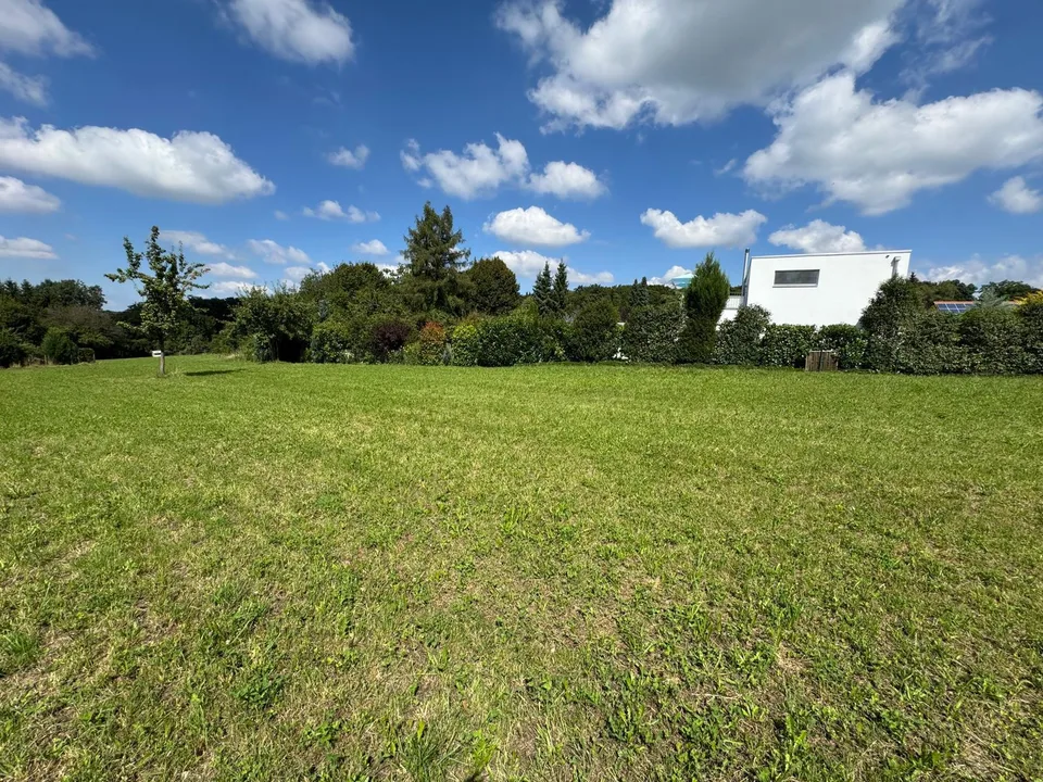 Traumhafte Parzelle in Hochwald incl. Baulandreserve u. bew. Projekt