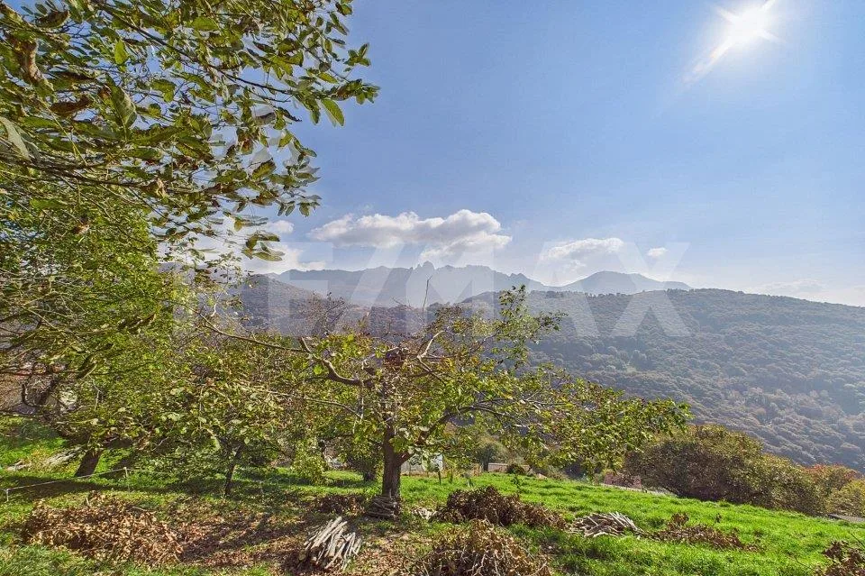 Terreno edificabile; soleggiato con vista panoramica, a circa 25 mi... – Foto 7 von 8
