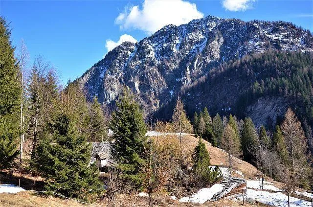 Rustico da ristrutturare con piccolo terreno bella vista panoramica... – photo 11 sur 23