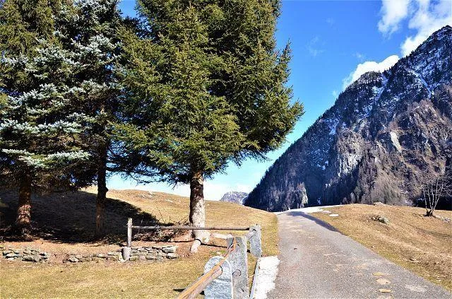 Rustico da ristrutturare con piccolo terreno bella vista panoramica... – photo 12 sur 23