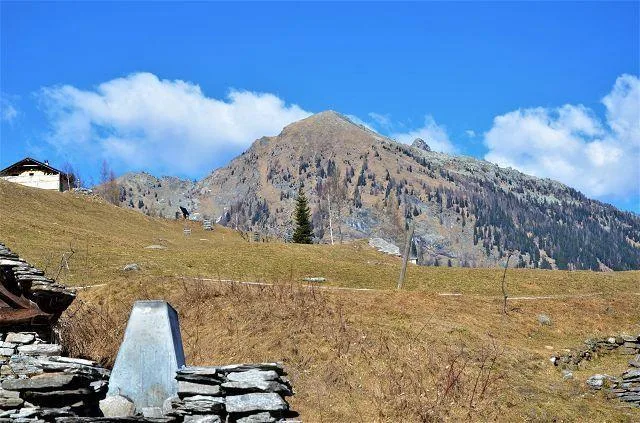Rustico da ristrutturare con piccolo terreno bella vista panoramica... – photo 10 sur 23