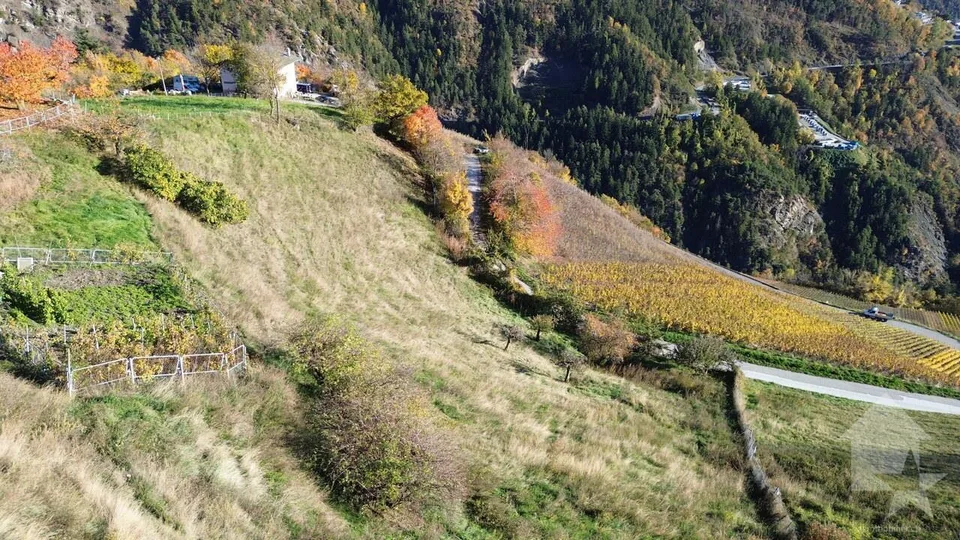 Terrain à vendre sur les hauts de Conthey avec une vue imprenable