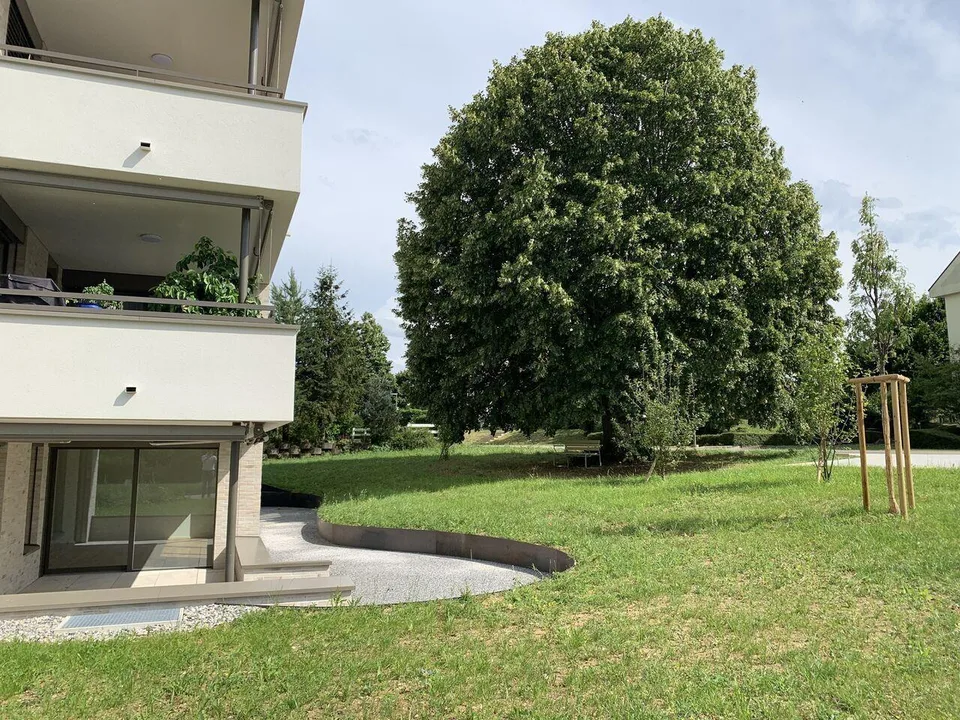 Lindengarten - zeitgemässes Wohnen in einer grünen Oase