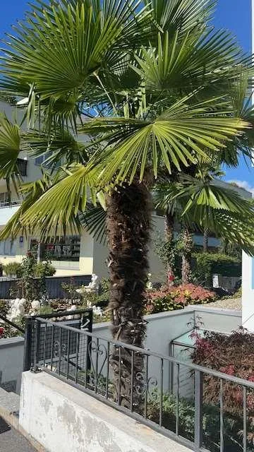 Ufficio di prestigio con giardino e terrazza in elegante residenza ad