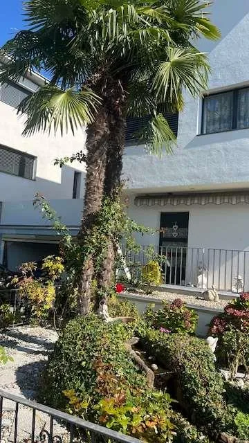 Ufficio di prestigio con giardino e terrazza in elegante residenza ad – Foto 7 von 8