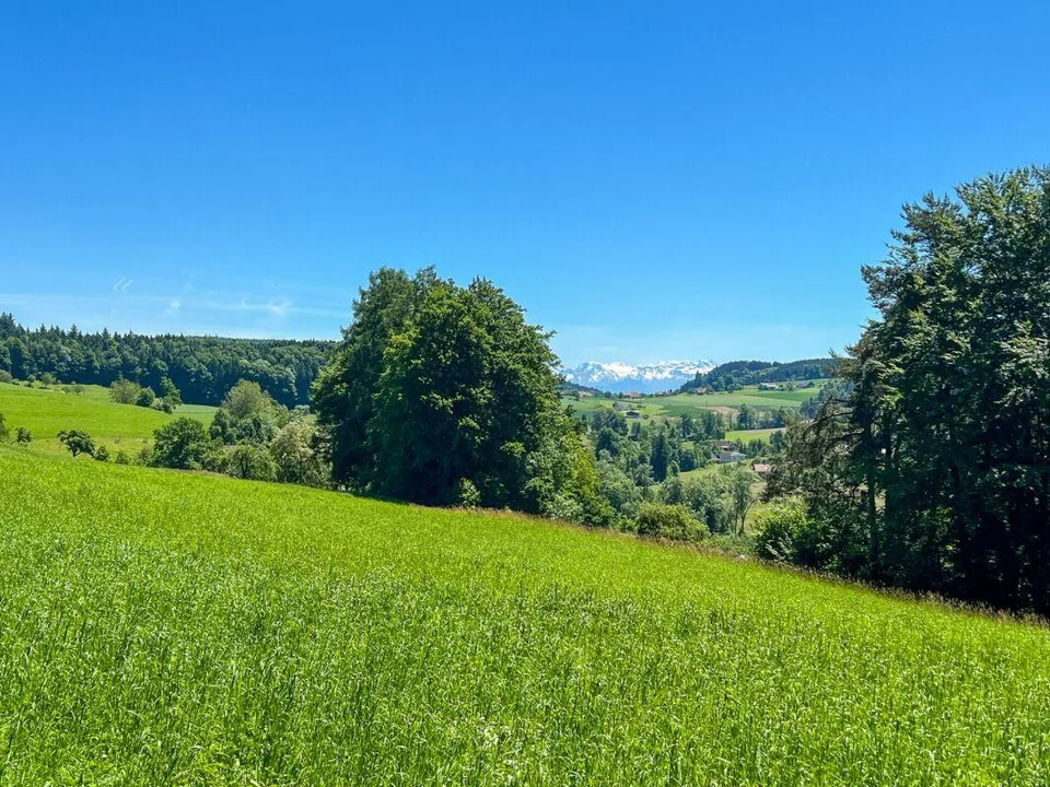 Ruedertalblick - Zuhause ankommen, Natur und Geborgenheit erleben