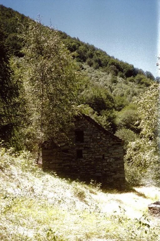 Rustico zum Ausbauen an Alleinlage mit Wiese und Wald / Rustico da ...