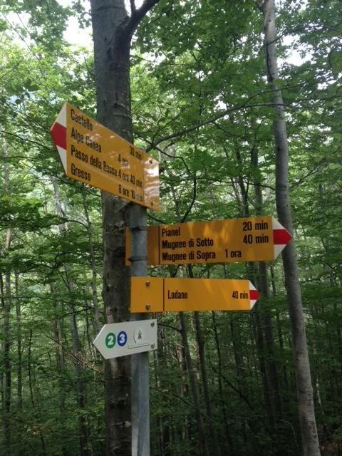 Rustico zum Ausbauen an Alleinlage mit Wiese und Wald / Rustico da ...