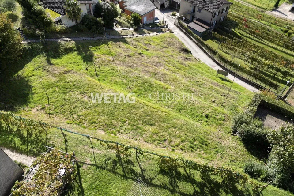 Lugano-Neggio: Baugrundstück von 1'137 m² mit Blick auf den Luganer... – foto 6 di 12